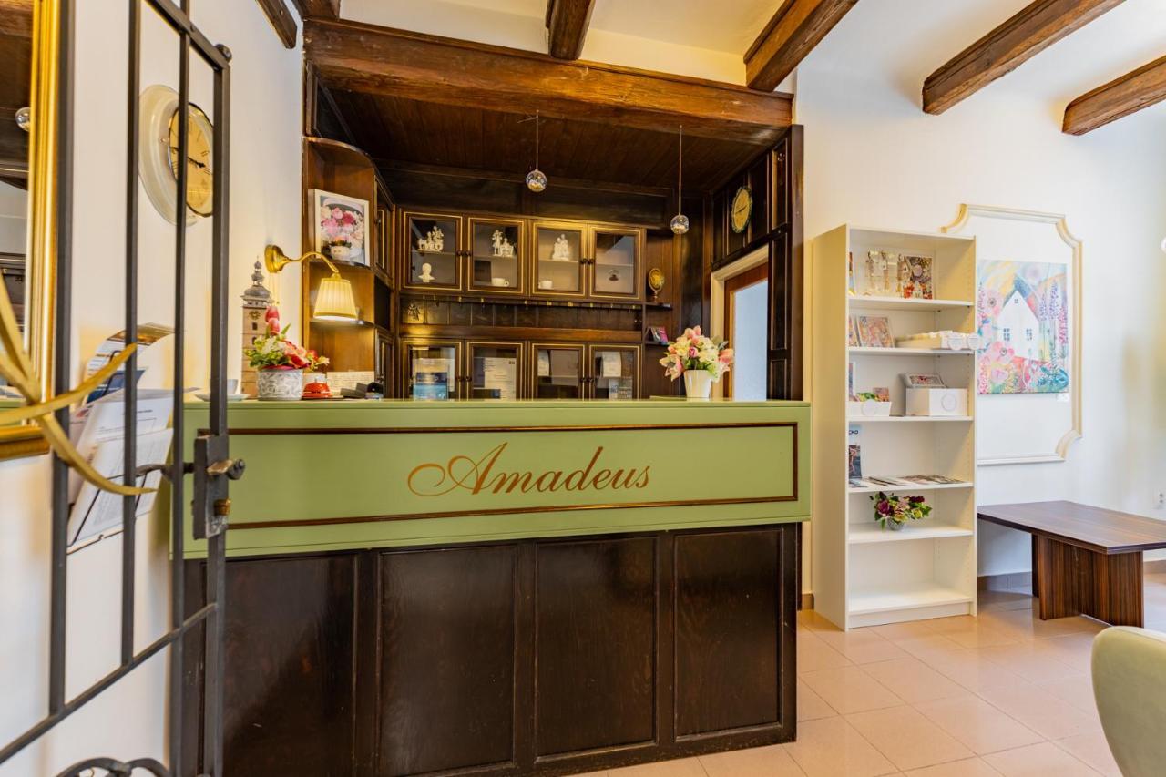 Hotel Amadeus 捷克布杰约维采 外观 照片