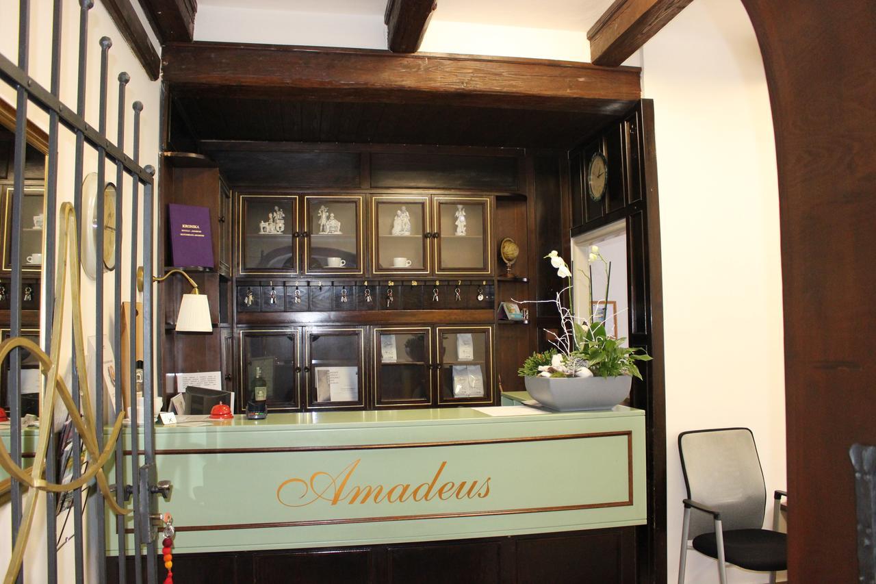 Hotel Amadeus 捷克布杰约维采 外观 照片